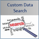 Custom Data Search